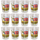 Tennessee Shot Glass Elements (1.5oz)