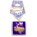 Texas Keychain Lucite Map & Flag