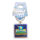 Kansas Keychain Lucite Map & Flag