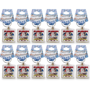 Alabama Keychain Lucite State Map