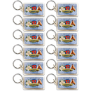 Tennessee Keychain Lucite Banner