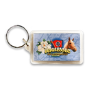 Tennessee Keychain Lucite Banner