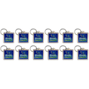 Virginia Keychain Lucite Map & Flag