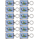 Colorado Keychain Lucite Elements