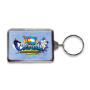 Colorado Keychain Lucite Elements