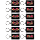 Iowa Keychain Lucite Banner