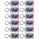 Illinois Keychain Lucite Elements