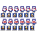 Illinois Keychain Lucite Map & Flag