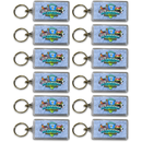 ウィスコンシン州 キーホルダー [州のアイコン]  / Wisconsin Keychain Lucite Elements