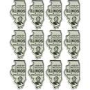 Illinois Magnet 2D 2 color