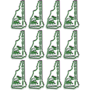 New Hampshire Magnet 2D 2 color