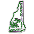 New Hampshire Magnet 2D 2 color