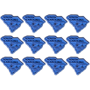 サウスカロライナ州 マグネット 2D 2色 / South Carolina Island Magnet 2D 2 color