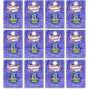 アイダホ州 ピンズ [州のアイコン] / Idaho Lapel Pin Elements