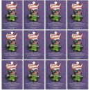 ミシシッピ州 ピンズ [州のアイコン] / Mississippi Lapel Pin Elements