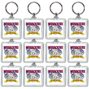 Missouri Keychain Lucite State Map