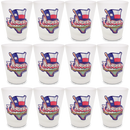 Texas Shot Glass Frosted Map & Flag  (1.5oz)