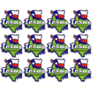 Texas Magnet 2D Map & Flag