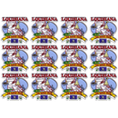 Louisiana Magnet 2D State Map