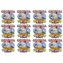 Georgia Magnet 2D State Map