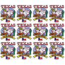 Texas Magnet 2D State Map