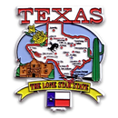 Texas Magnet 2D State Map