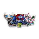 Arkansas Magnet 2D Elements