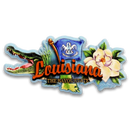 Louisiana Magnet 2D Elements