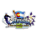 Colorado Magnet 2D Elements