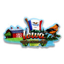 Iowa Magnet 2D Elements