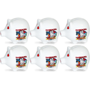 Indiana State Map Ceramic Piggy Bank