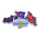 Indiana Magnet 2D Elements