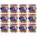 Florida Magnet 2D State Map