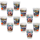 Florida Shot Glass Mural (1.5oz)