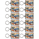 Louisiana Keychain Lucite Postcard