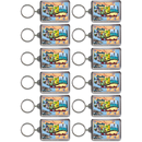 Florida Keychain Lucite Postcard