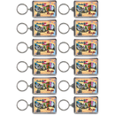 Georgia Keychain Lucite Postcard