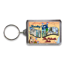 South Carolina Keychain Lucite Postcard