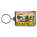 Kansas Keychain Lucite Postcard