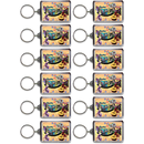 Tennessee Keychain Lucite Postcard