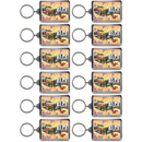 ノースカロライナ州 キーホルダー [ポストカード] / North Carolina Keychain Lucite Postcard