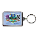 New Hampshire Keychain Lucite Elements