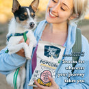 LesserEvil Organic Popcorn, Himalayan Gold 0.88oz